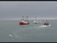 Cape Cod14016