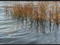 Cape Cod14027