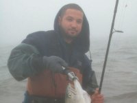 Cape Cod14028