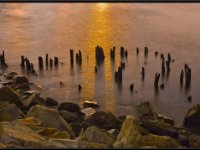 Low Light25