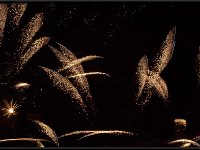 Low Light47