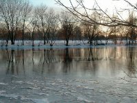 Charles River14