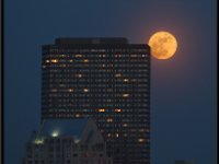 Charles River24
