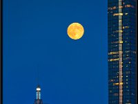 Charles River26