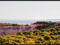Martha's Vineyard1