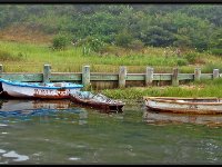 Martha's Vineyard19