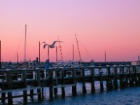 Martha's Vineyard20
