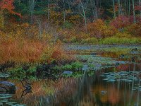 Connecticut2