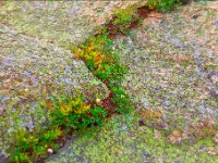 Maine Rocks : Web Sharp: Original ratio