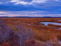 Massachusetts3