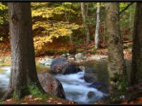 Vermont