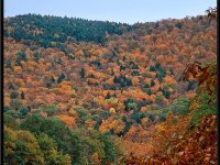 Vermont5