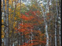 Vermont6