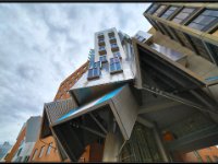 Stata23439