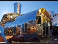 Stata23481
