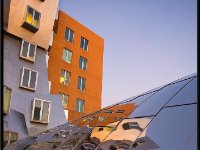 Stata23495