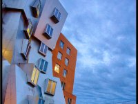 Stata23509