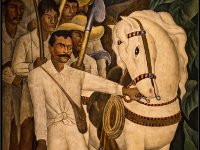NY MOMA264961