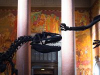 Natural History