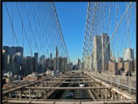 NY Scenery10
