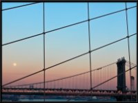 NY Scenery8