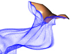 Simulated bat flight image, links to New York Times Graphic Coverage of the project