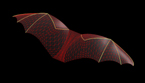 Bat Mesh Image, used as a link to a movie of a simulated bat in flight