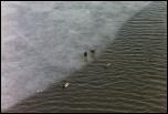 Click on one of the size names above to enlarge this image Click on one of the size names above to enlarge this image