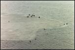 Click on one of the size names above to enlarge this image Click on one of the size names above to enlarge this image