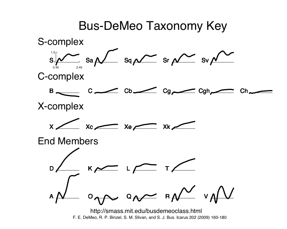 Bus-DeMeo Taxonomy Key