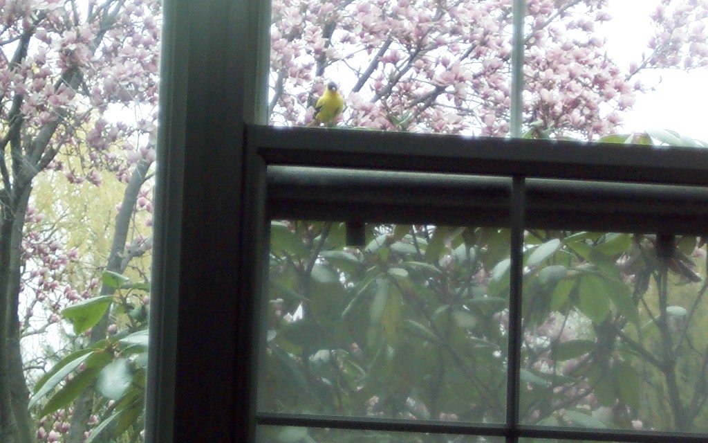 he is watching me