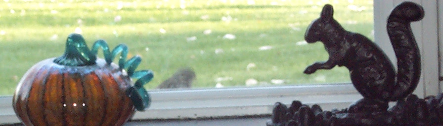 juvenile or female House Finch?