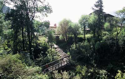 Bridge over Stream In Junbesi