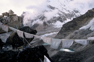 Summit of Kala Pattar