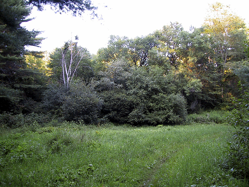 Brook Hollow Trail