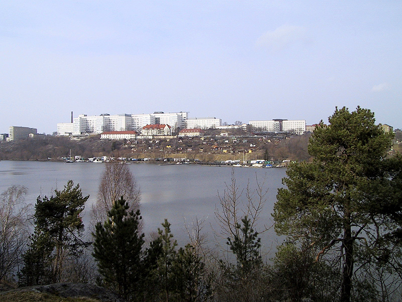 A trail behind Assar's apartment.