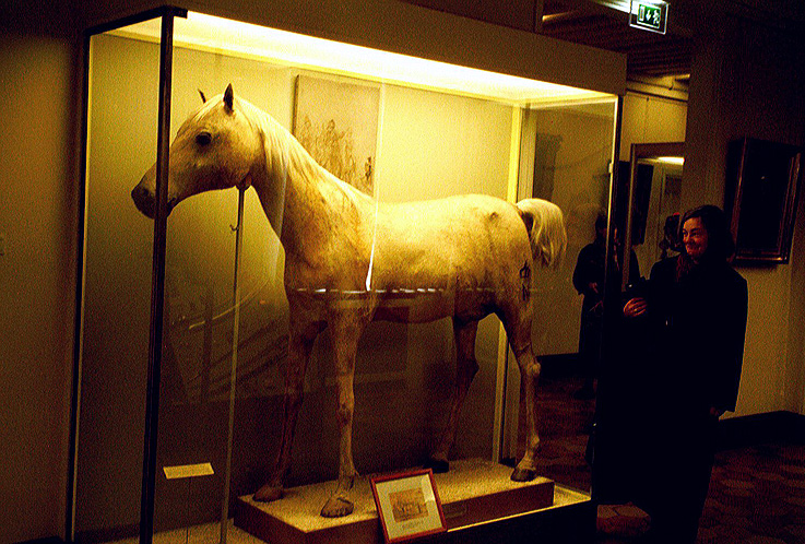 Napoleon's horse Le Vizir