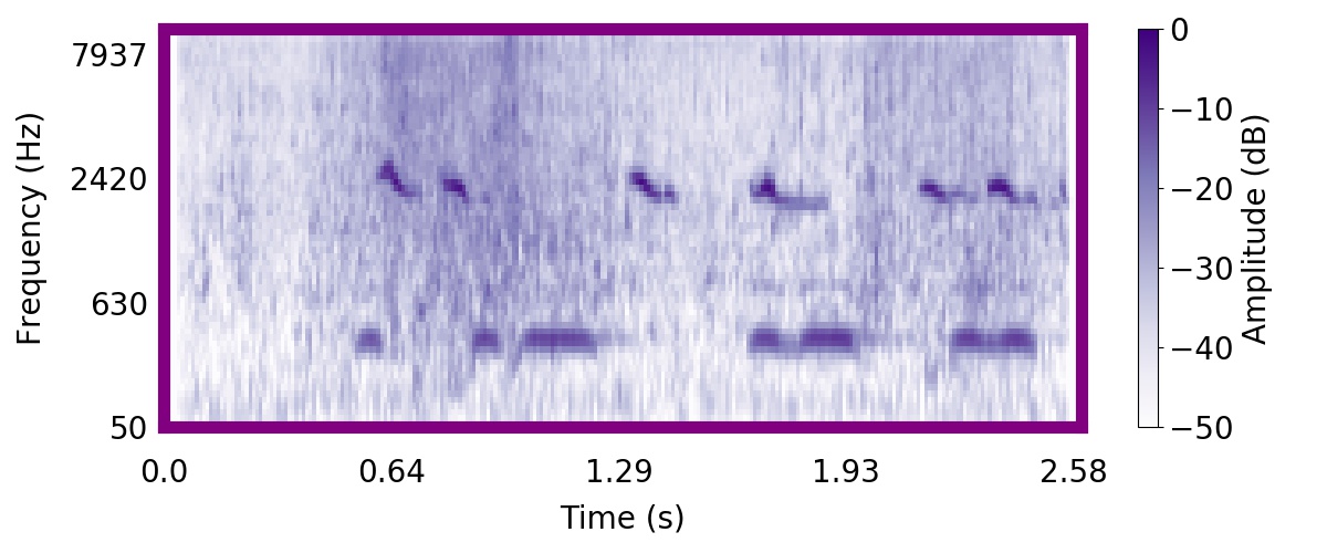 Nature sound: two birds near waves