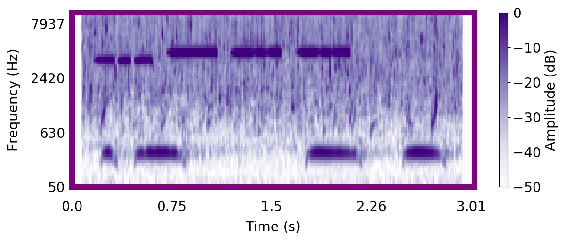 Nature sound: rhythmic bird and owl at stream