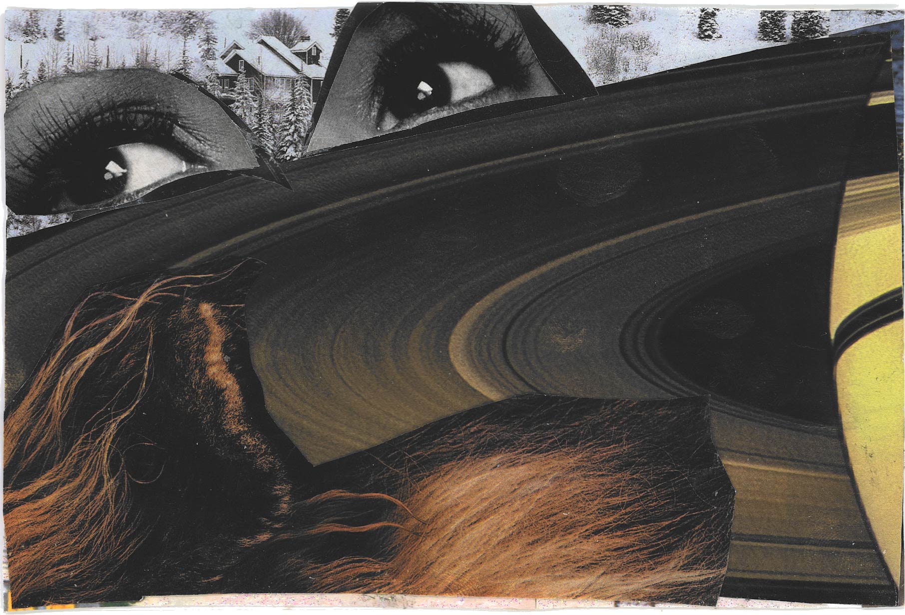 2021, Marrow, collage