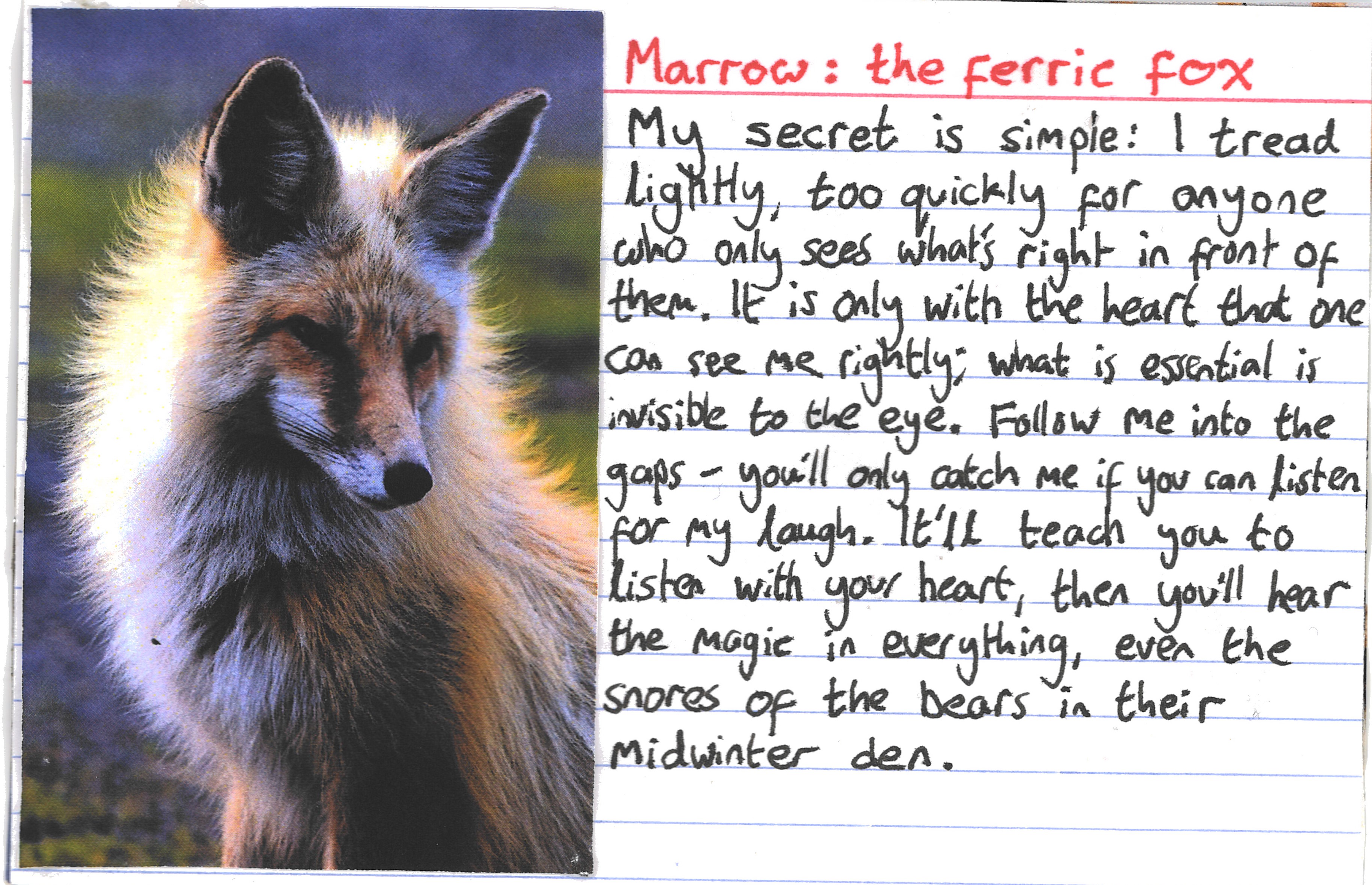 2021, Marrow, text