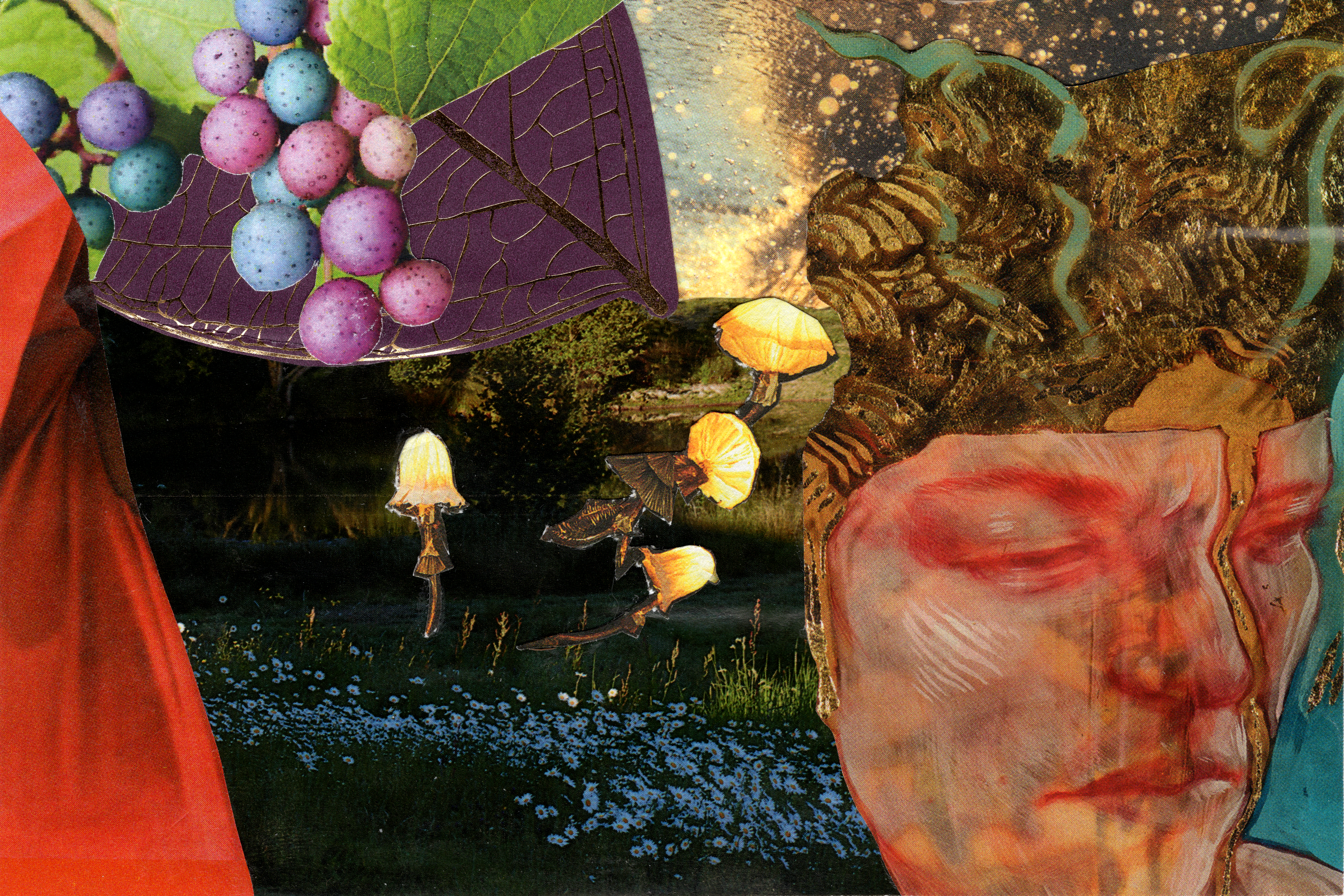 2022, Grapes, collage