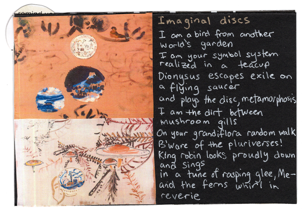 2023, Imaginal discs, text