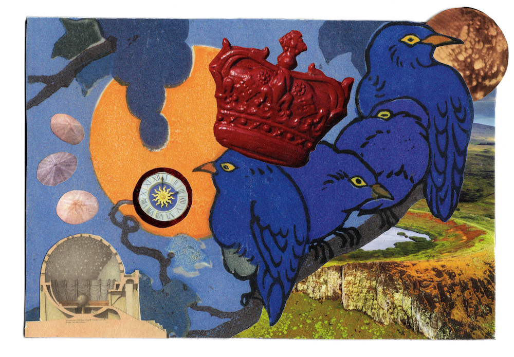 2023, Imaginal discs, collage