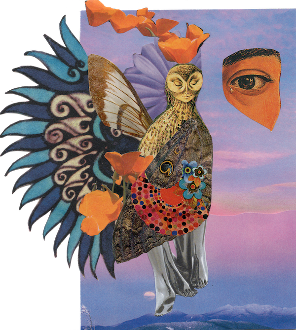 2024, Papillon, collage