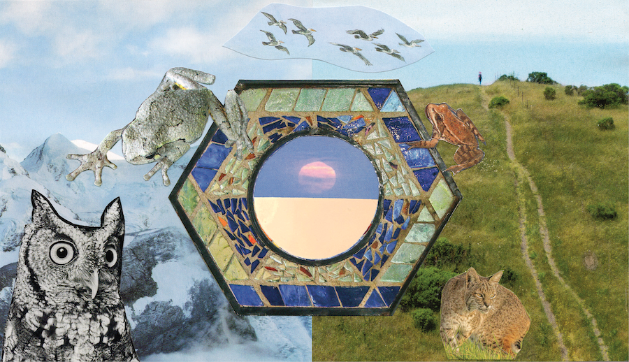 2024, Fresh Pond, collage