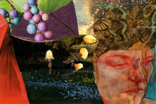 2022, Grapes, collage