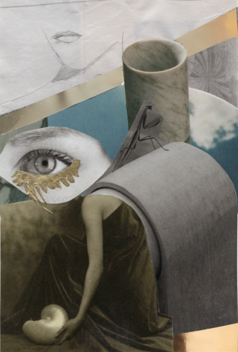 2022, Diphylleia, collage