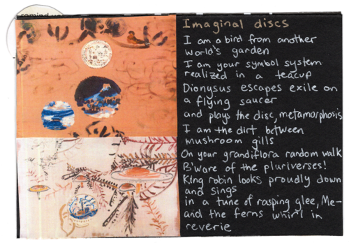 2023, Imaginal discs, text