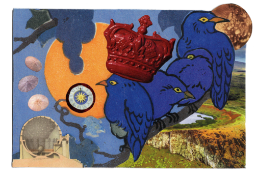 2023, Imaginal discs, collage